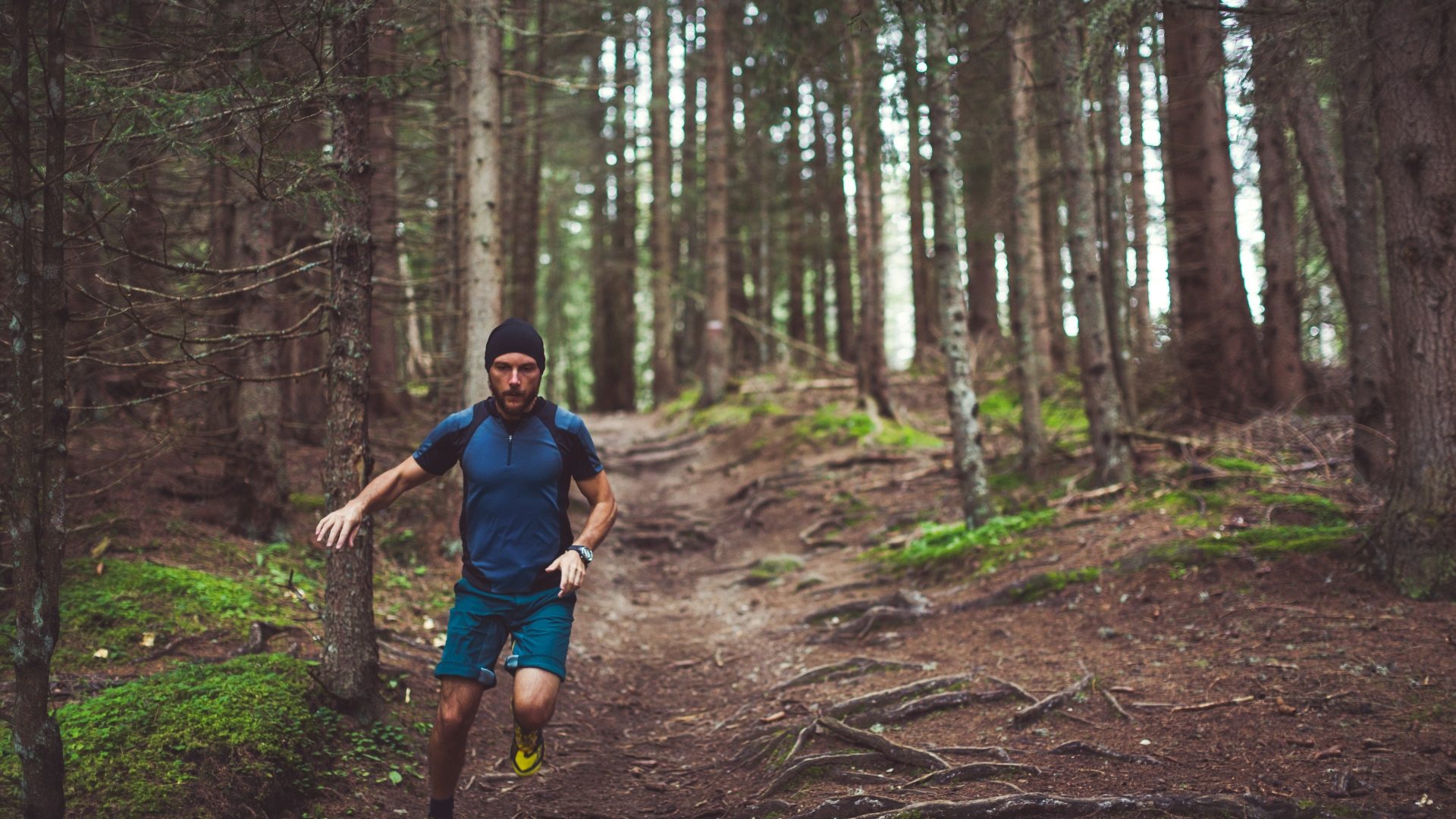 A runner on a trail through a pine forest
